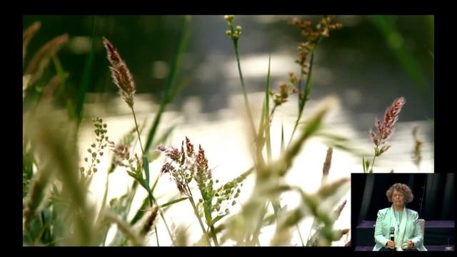 Agape's Way of Meditation Service, 4-28-24 смотреть онлайн