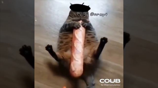 Багет мм багет