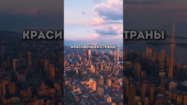 Трюдо заставили уйти. Либералы потеряли доверие смотреть онлайн