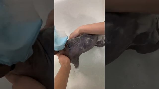 санечка сыночек смотреть онлайн