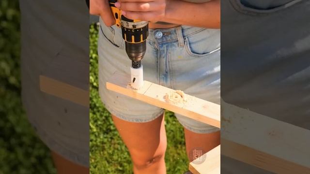 Крутая идея для дачников