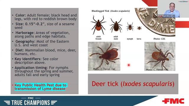 Pest Identification FMC First Friday JULY 2024 смотреть онлайн