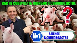 🔵№1 Выращивание свиней в домашних условиях/Советы для начинающих свиноводов✅
