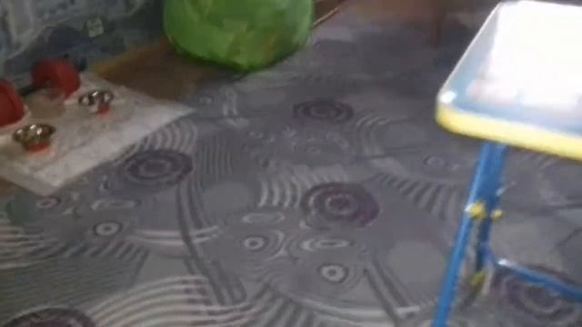 Сурикат Трамп смотреть онлайн