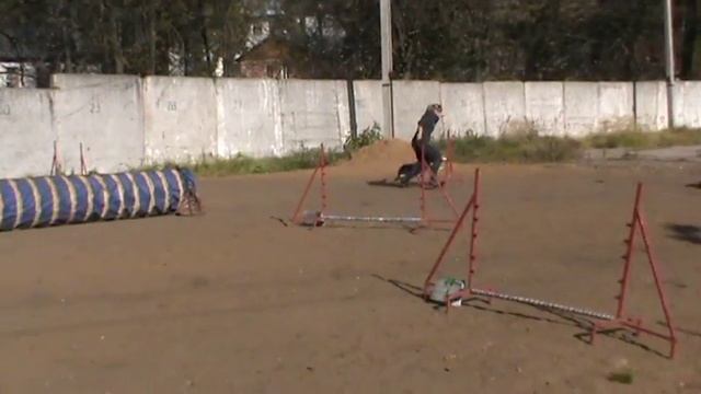 елена цезарь смотреть онлайн