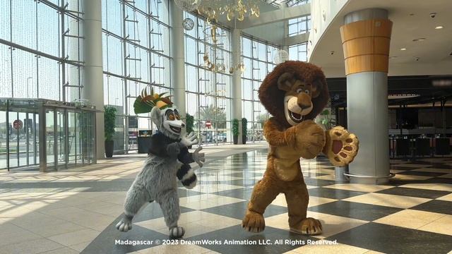 Madagascar - Dalma Mall - Teaser Location 2023 смотреть онлайн