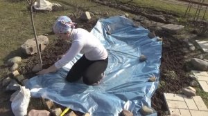 Декоративный прудик моими руками и про поливочный силиконовый шланг 8 апреля 2020 года.