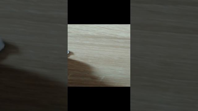 Я сделал площадку для скейта 🛹🛹🛹 смотреть онлайн