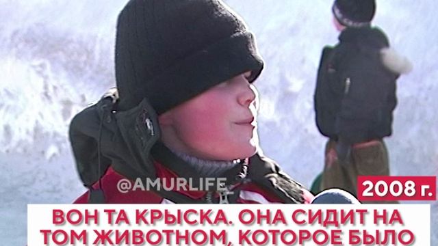 Алёша Попович, крыса и Шрек из снега. Какими были новогодние городки 15 лет назад смотреть онлайн