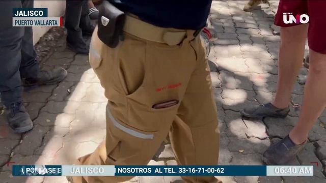 Capturaron a "Pancho" el cocodrilo смотреть онлайн