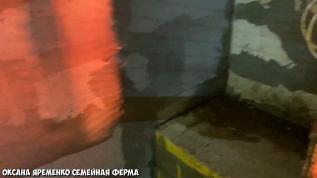 КЛЕТКА для несушек своими руками / Расширяю поголовье кур смотреть онлайн