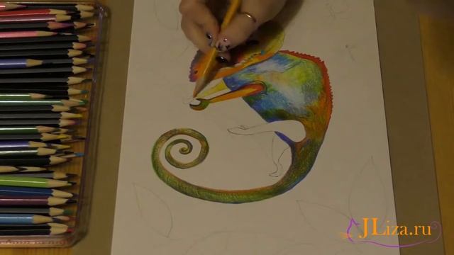 Раскрашиваем Хамелеона цветными карандашами смотреть онлайн