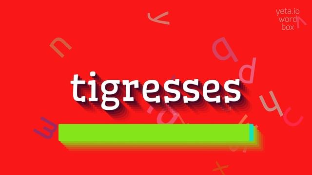 HOW TO PRONOUNCE TIGRESSES? #tigresses смотреть онлайн
