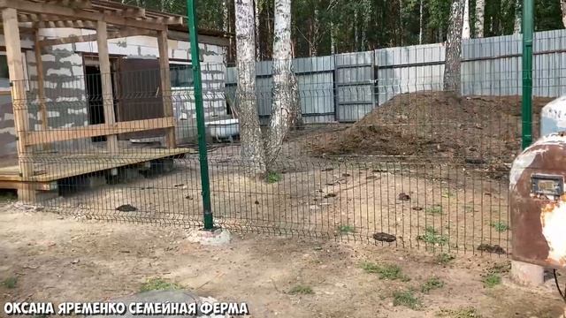 КОРОВЫ / Надоели НАВОЗ и ГРЯЗЬ / Делим зоны / 3D забор смотреть онлайн