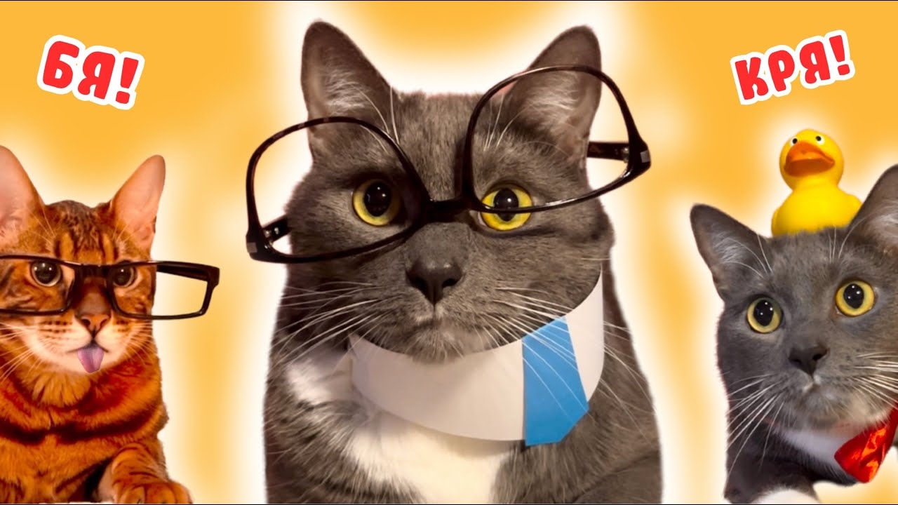 ЕСЛИ БЫ КОТИКИ ХОДИЛИ В ШКОЛУ - ЛУЧШИЕ СЕРИИ смотреть онлайн