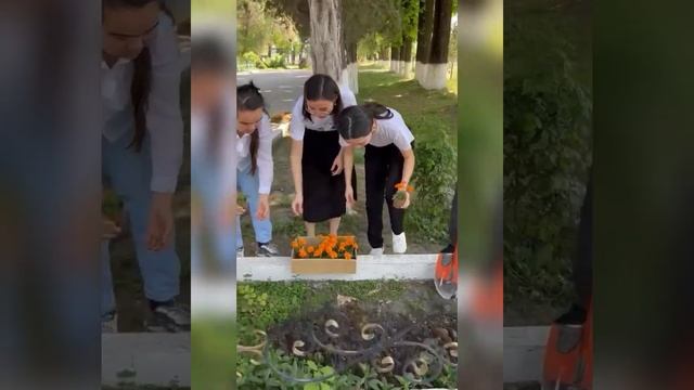 Қордай ауданы #4 Балжан Бөлтірікова мектеп-лицей "Экология және қоршаған ортаны қорғау!" челлендж. смотреть онлайн