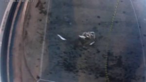 Корюшка. Дамба. 18 мая 2022 г. Ловим подъемником