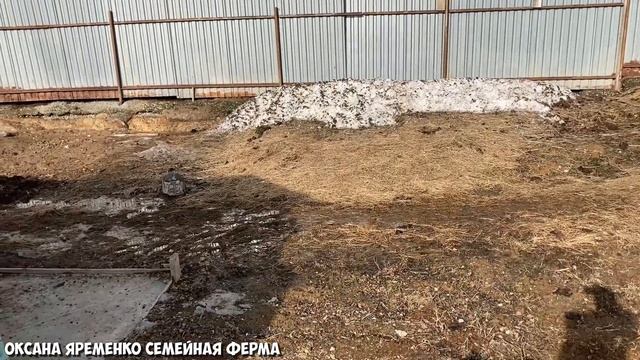 Влог от 03.04.21 смотреть онлайн