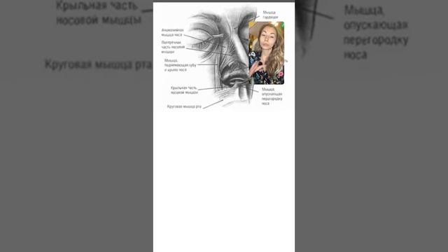 Марина Дорн. Marina_dorn. Эфир 14.11.19 смотреть онлайн