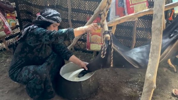 Nomads life | production of Buttermilk by Nomads using Traditional Methods | Iranian Nomads 2023
