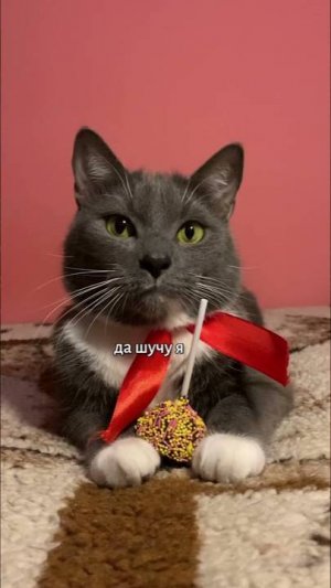 КОНФЕТЬКА