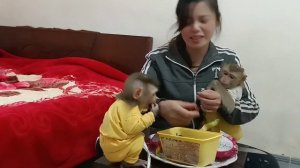 The benefits of two monkey babies when taking medicine.