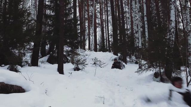 Ястреб - небольшое событие