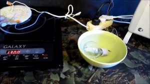 НАЗАД В БУДУЩЕЕ №2