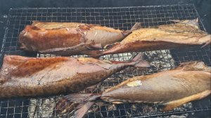 Копчение скумбрии горячим способом