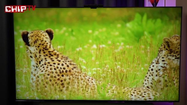 Samsung QN800A Neo QLED 8K Smart TV 2021 смотреть онлайн