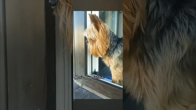 Бруталини💕 смотреть онлайн
