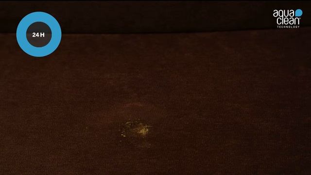 Cómo limpiar una mancha de guacamole del sofá con la Tecnología Aquaclean® después de 24 horas смотреть онлайн