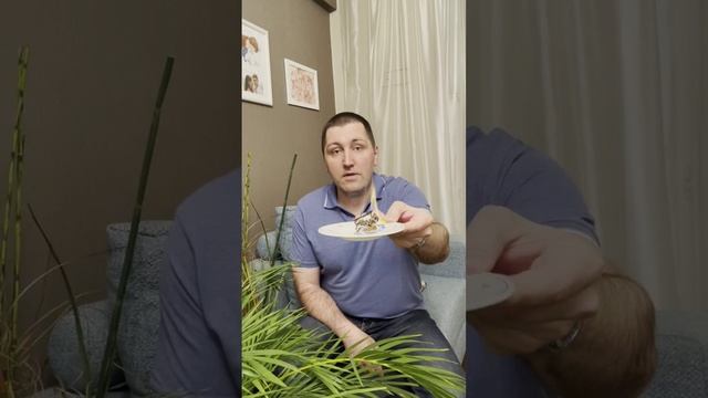 Лучшая практика работы с обидой! Проверено! смотреть онлайн