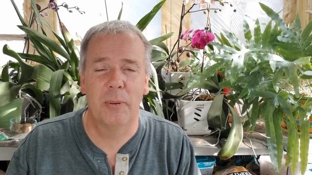 5 Favorite Beefsteak Tomatoes to Grow 2022 смотреть онлайн