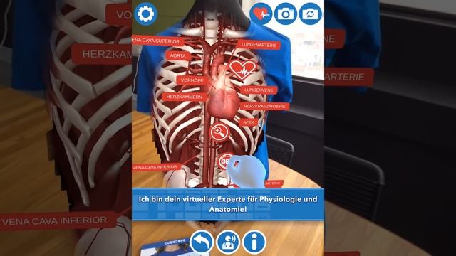 Virtuali-Tee app language demo! смотреть онлайн