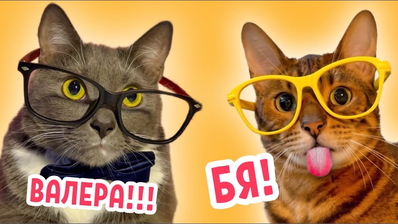 ЕСЛИ БЫ КОТИКИ ХОДИЛИ В ШКОЛУ - ВСЕ СЕРИИ С ВАЛЕРИЕМ ПОЛОСАТИКОВЫМ смотреть онлайн