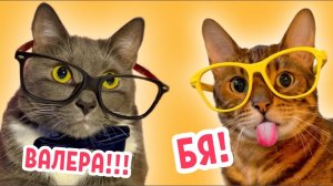 ЕСЛИ БЫ КОТИКИ ХОДИЛИ В ШКОЛУ - ВСЕ СЕРИИ С ВАЛЕРИЕМ ПОЛОСАТИКОВЫМ