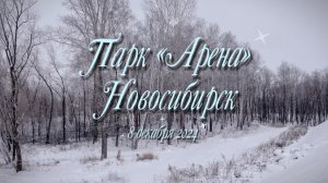 Прогулка Парк «Арена» 8.12.2024