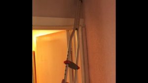 Catching a spider at home!!  Ловим паука в доме!