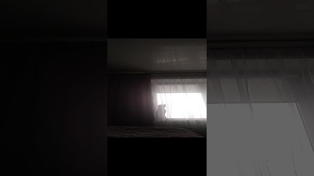 VID_20250107_141613.mp4 смотреть онлайн