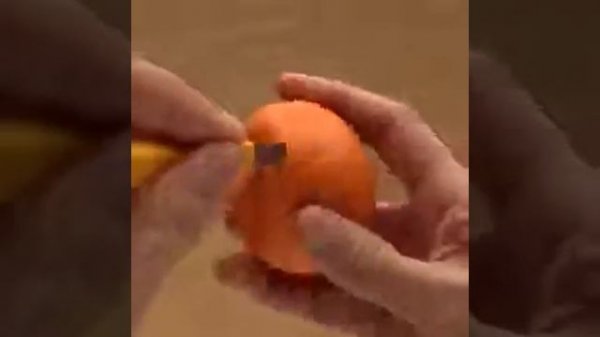 Как как сделать из апельсина лошадь