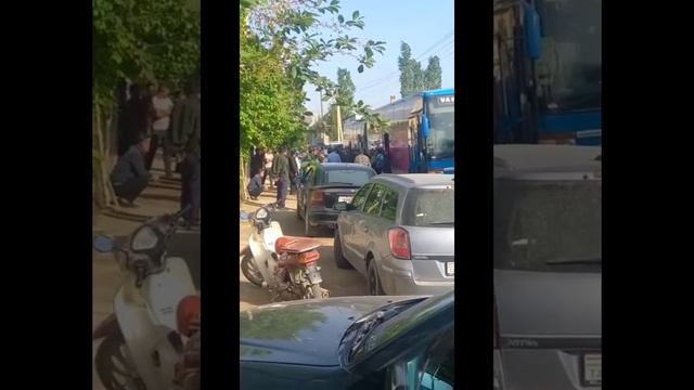14- Апрель, Ашт, жигда,Хар хафта, С/Г Туракулов Иброхим 927771995/. 92-88-88-108 смотреть онлайн