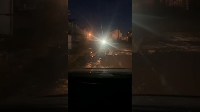 Якутск. Живая утка плавает в маленькой луже на улице смотреть онлайн