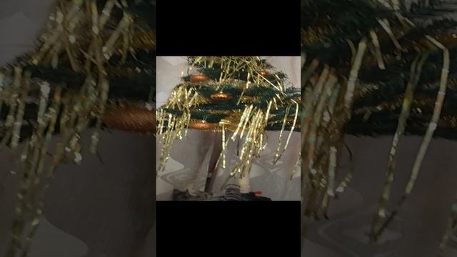 Котик и Ёлочка смотреть онлайн