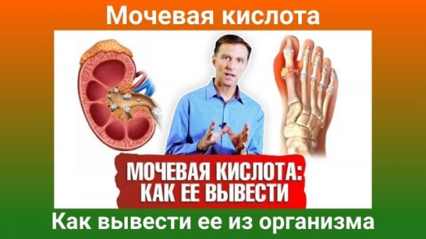 Доктор Берг. Мочевая кислота. Как вывести ее из организма