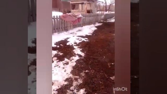 Посылка с Канала- Семья в Селе/Готовлю Окрошку и Пиццу смотреть онлайн