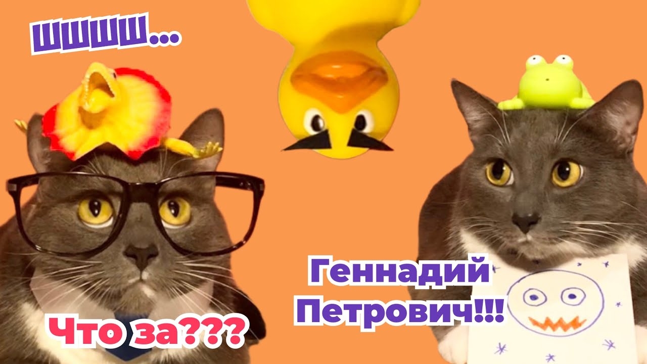 ЕСЛИ БЫ КОТИКИ ХОДИЛИ В ШКОЛУ - ВСТРЕЧА В БУФЕТЕ, НОВЕНЬКАЯ, И УРОК НЕМЕЦКОГО смотреть онлайн