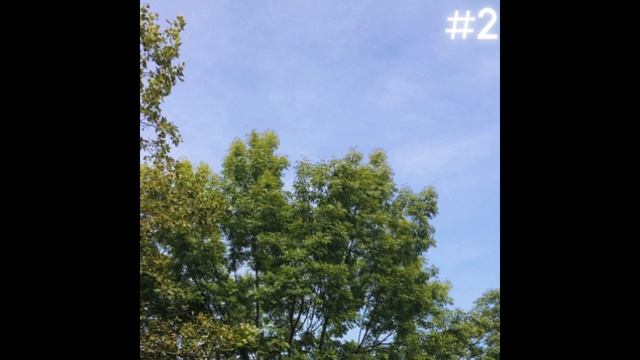 Frips - (Trip album) #2 love trip смотреть онлайн