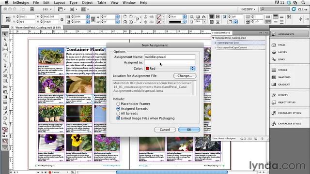 1401 Creating Assignments In InDesign