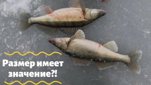 В комнате с белым потолком.